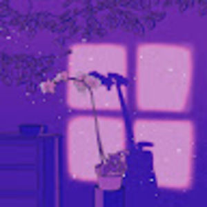 Meet your Posher, Mikayla